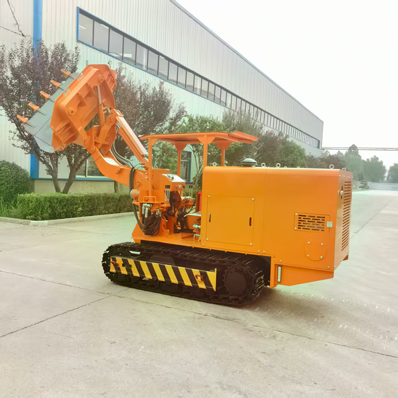 Raupenlader mit seitlicher Entladung