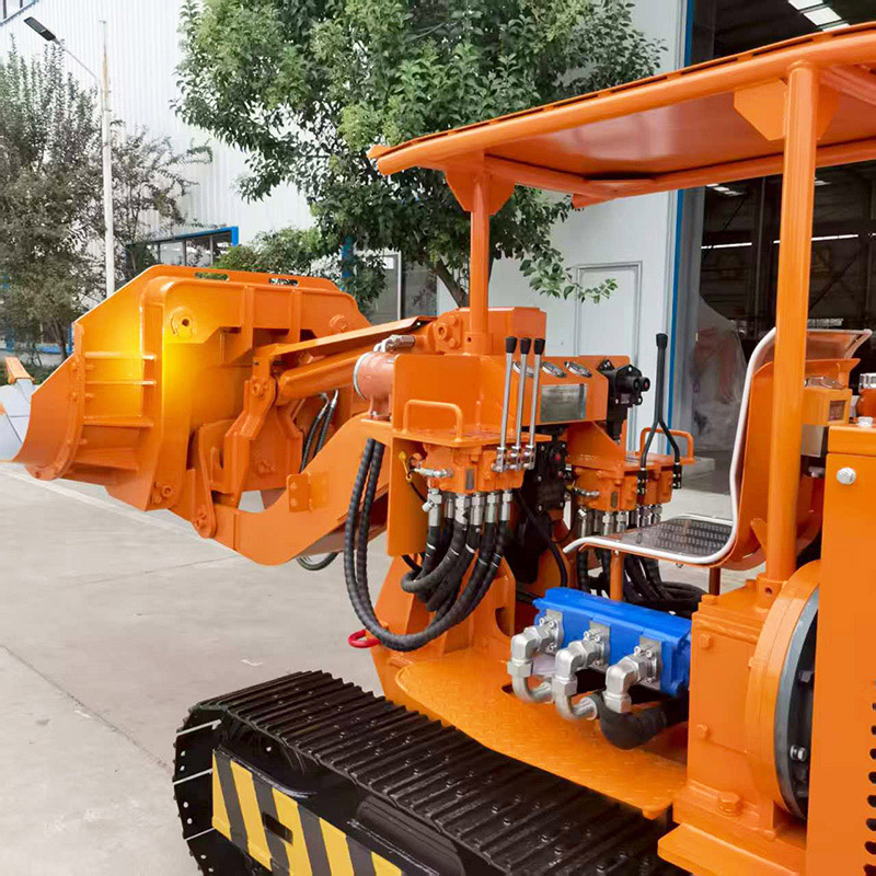 Máy xúc đá tự đổ bên tùy chỉnh